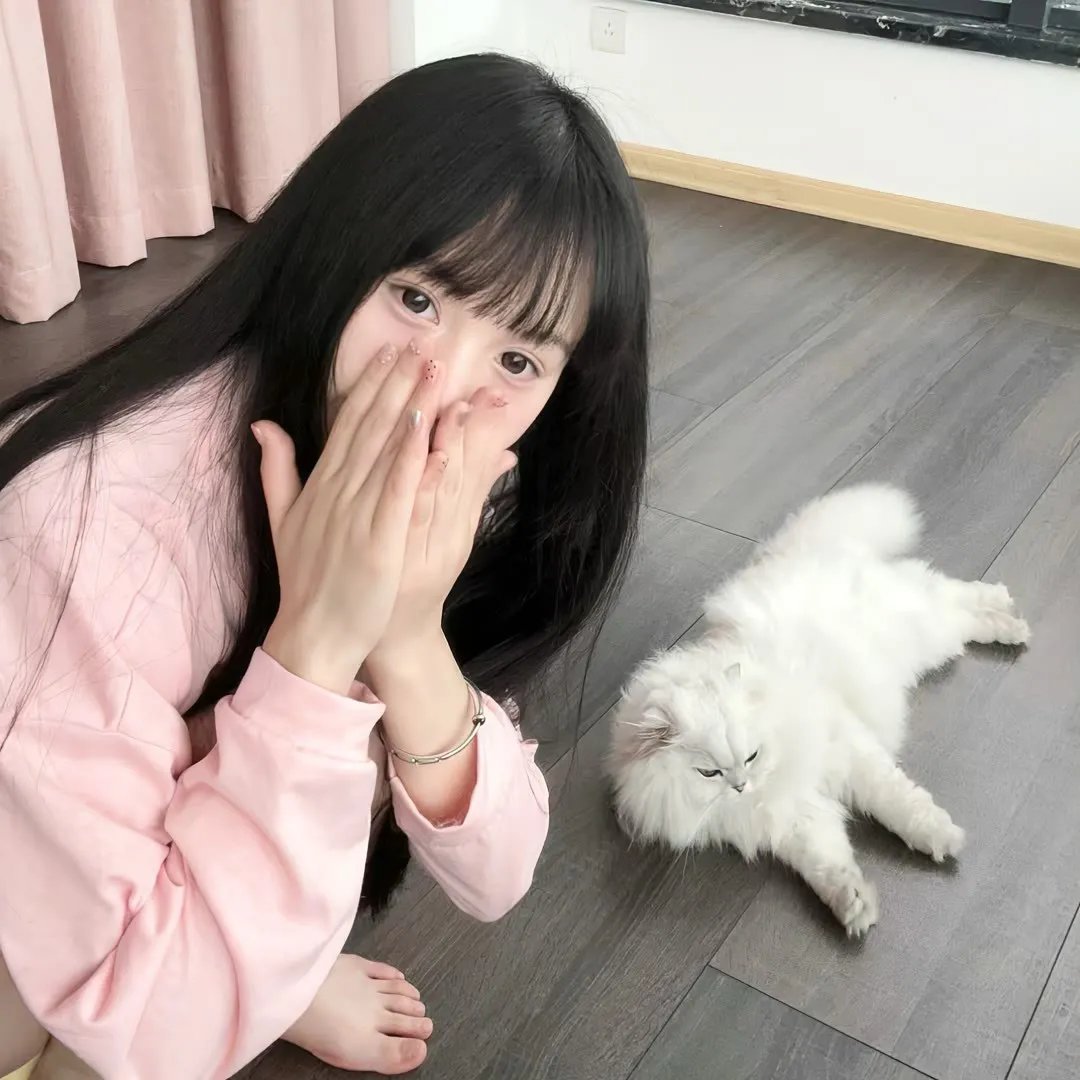 蜡笔小小生 在线观看
